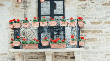Pélargoniums rouges en pot sur un rebord de fenêtre d'une maison en pierre en Espagne, floraison estivale abondante.