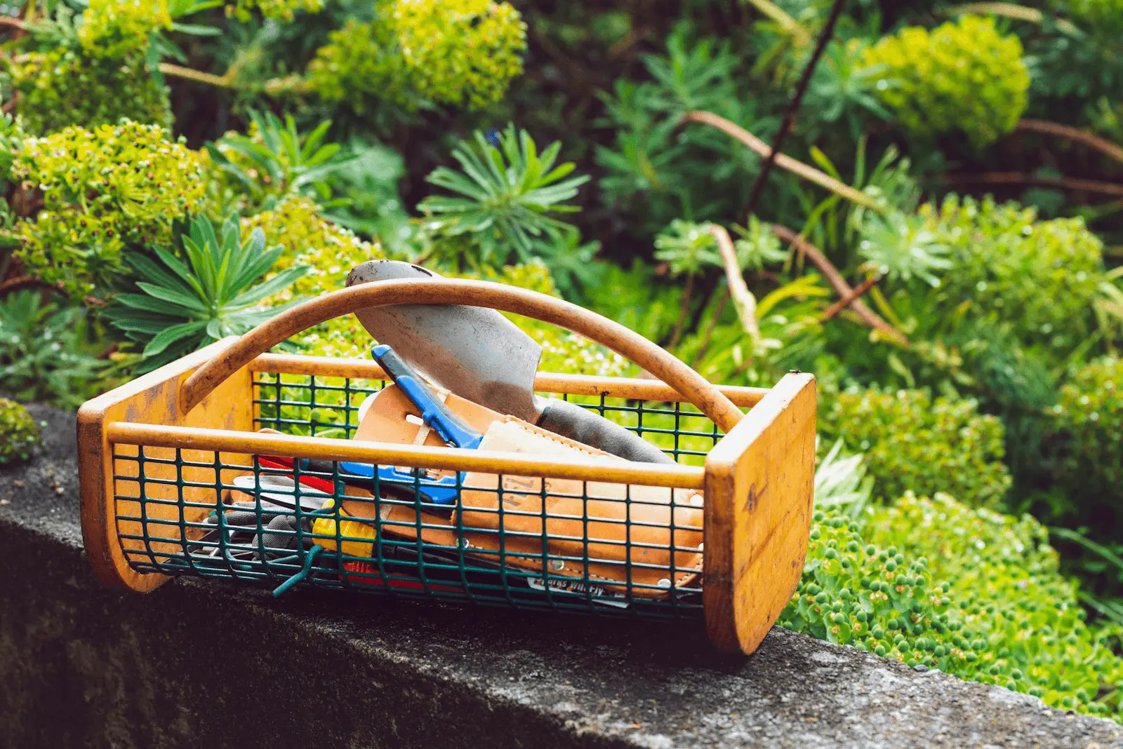Panier d'outils de jardinage : sécateur, plantoir, gants, serfouette disposés sur une table de jardin