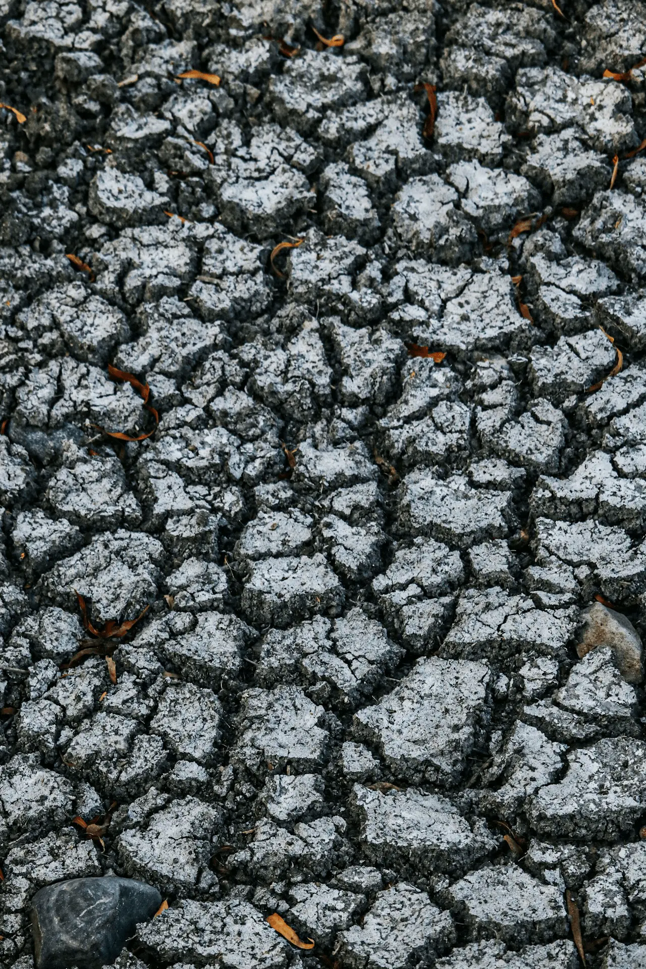 Sol de jardin craquelé et asséché par le manque d'eau pendant un épisode de forte chaleur