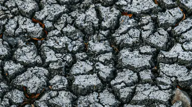 Sol craquelé en période de sécheresse extrême, pas de pluie depuis des semaines.