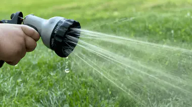 Mains tenant un tuyau d'arrosoir avec brumisateur en train de pulvériser de l'eau sur un gazon vert