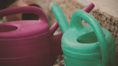 Deux arrosoirs en plastique vert et rose, prêts à servir au jardin pendant la saison chaude