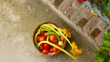 Panier rempli de légumes d'été : tomates rouges, courgettes, fleurs de courgette dorées