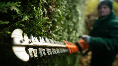 Jardinier taillant une haie de thuya au taille-haie électrique, vue large dans un jardin.