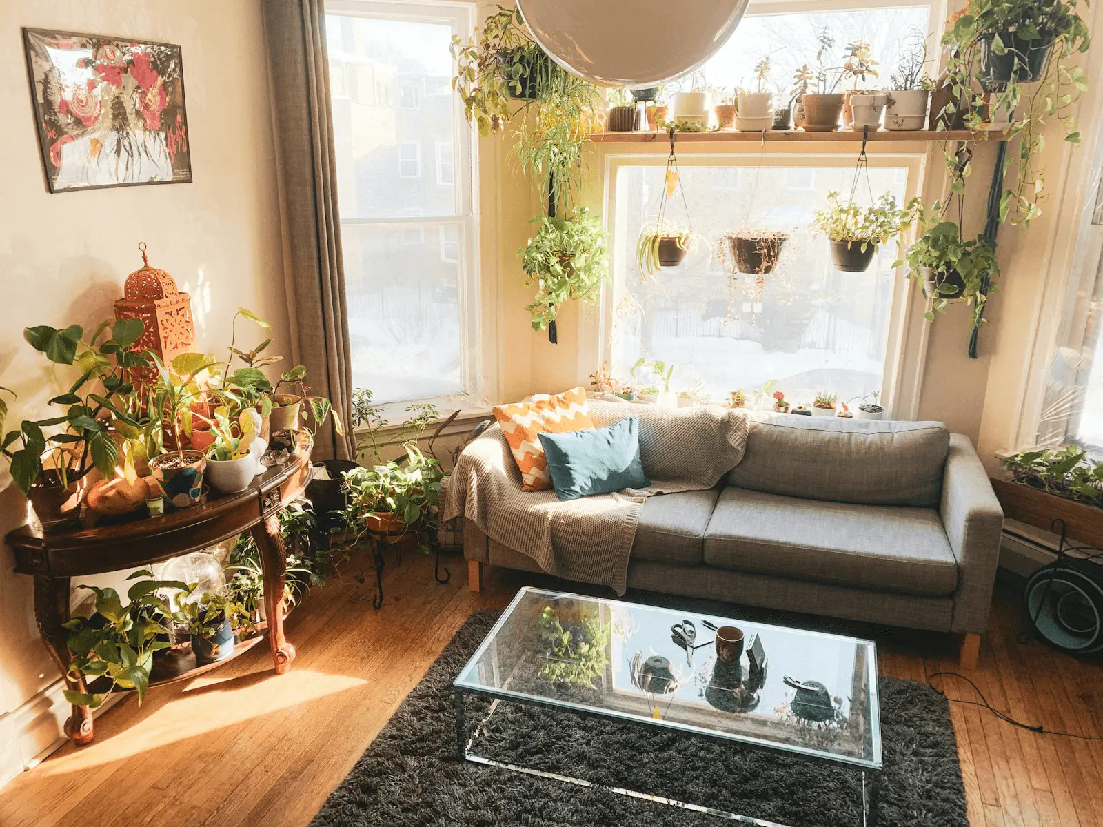 Salon lumineux avec plusieurs plantes d'intérieur disposées autour du canapé et près de la fenêtre