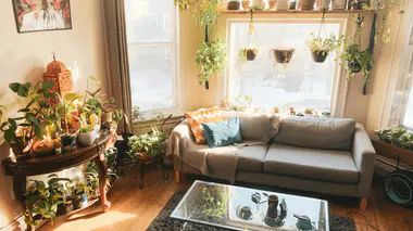 Salon lumineux avec plusieurs plantes d'intérieur disposées autour du canapé et près de la fenêtre