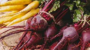 Bottes de betteraves rouges (Beta vulgaris) à racine renflée pourpre, fanes rouges, à côté de carottes jaunes
