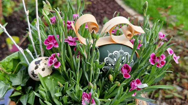 Décoration de Pâques au jardin : œufs colorés accrochés dans des branches, ambiance printanière familiale