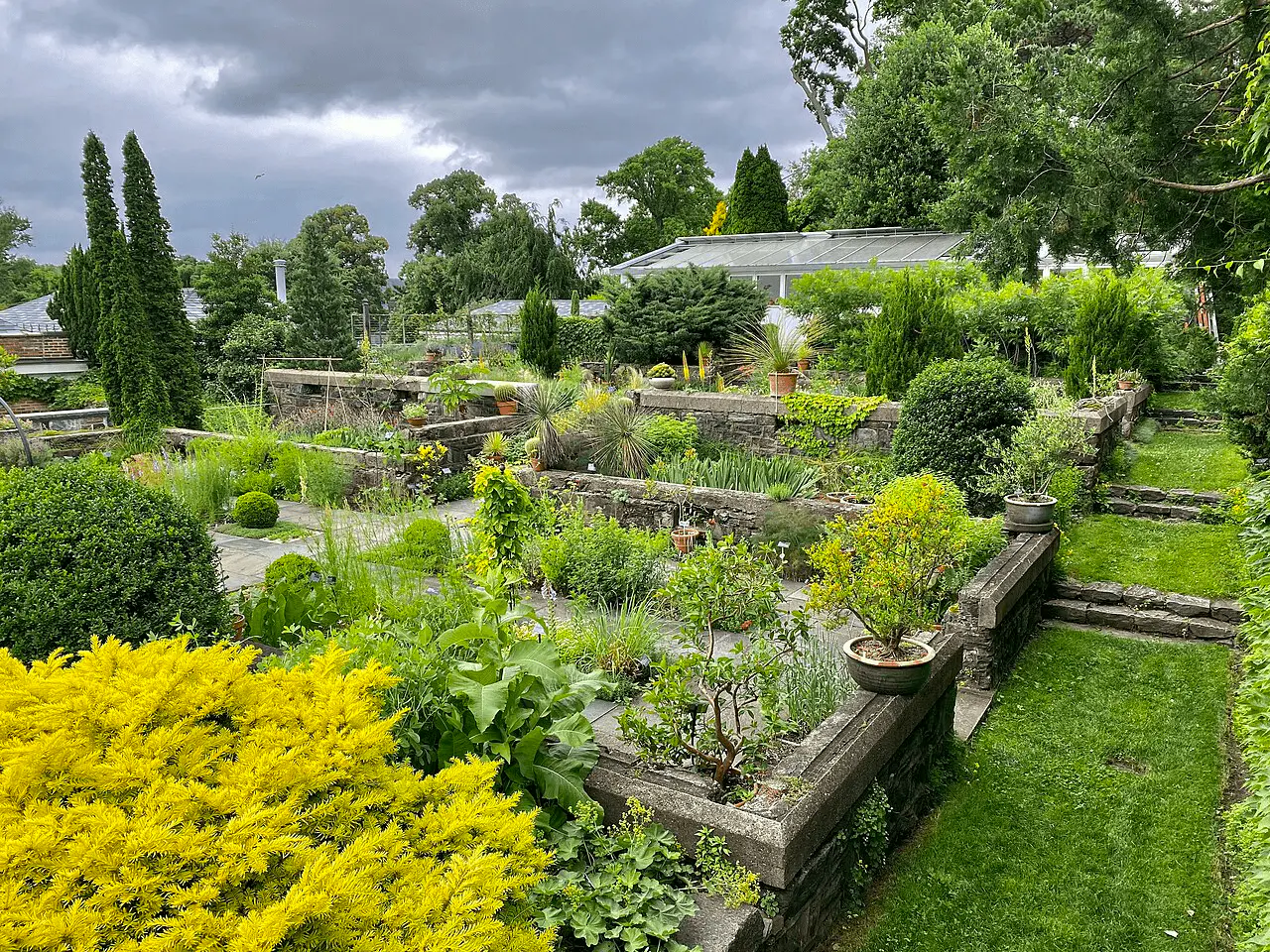 Jardin sec avec lavandes, graminées ornementales et paillage minéral en gravier
